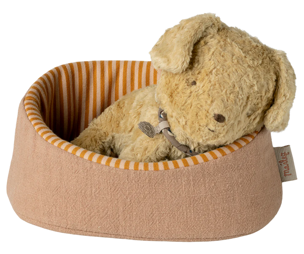 Huisdierenmand – Powder.