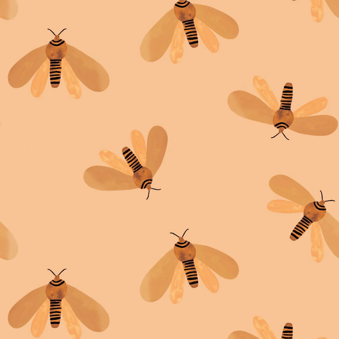 Behang Meet Me at the Wall – Moth Sun – Aniek Bartels