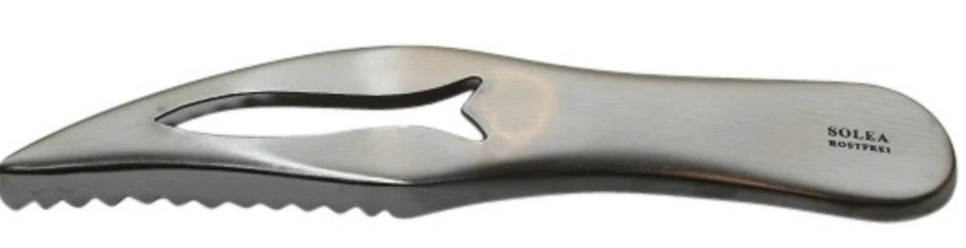 SOLEA RVS Vis ontschubber / verwijderen van schubben 8,5cm