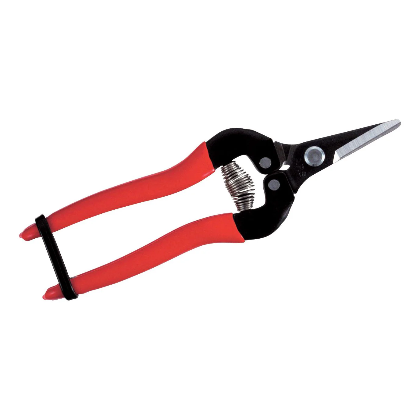 ARS 300SS fruit – bloemen – groente – schaar lengte 17cm met rood heft en korte rechte bek