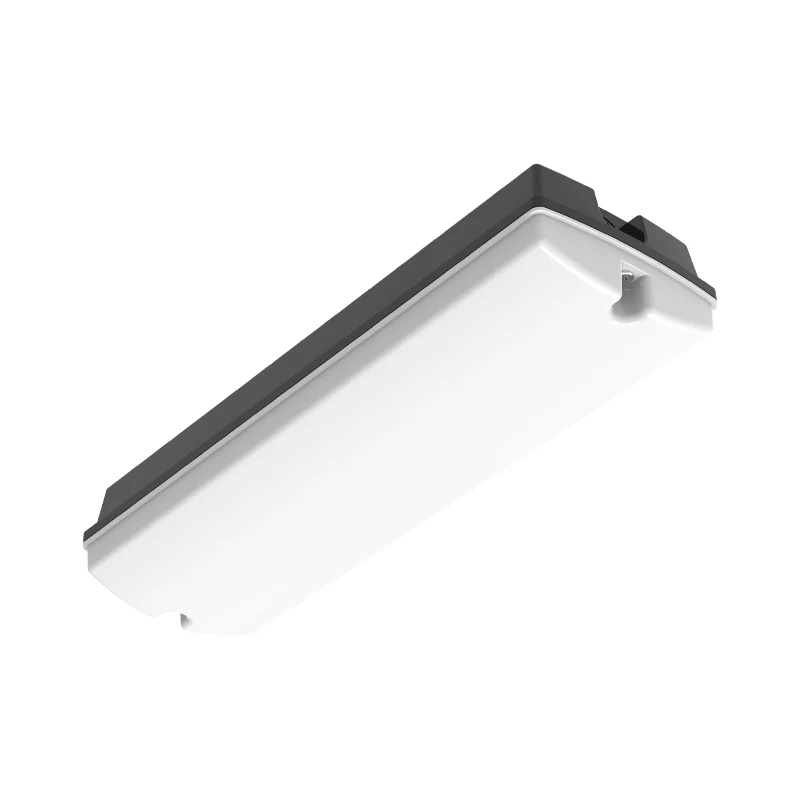 Noodverlichting Pan – 3W – IP65 | 3 uur zonder stroom | Zwart – Melkglas