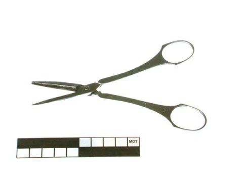 WASA roestvrijstalen Druiven- presenteer schaar 15,5 cm