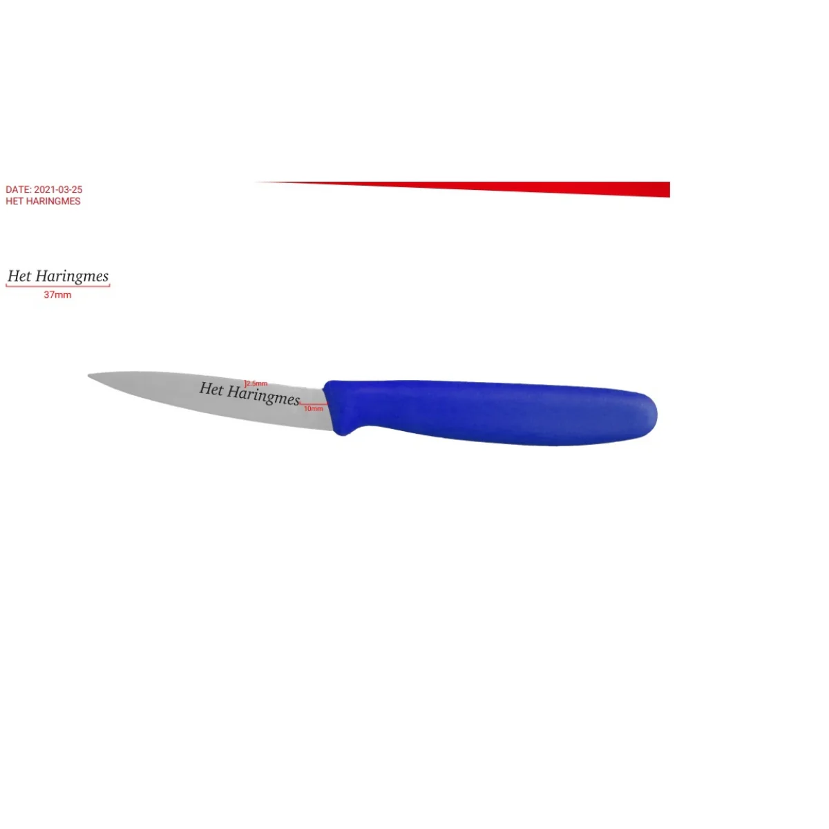 Het SOLEA Haringmes RVS lemmet middenspits blauw HACCP kunststof heft