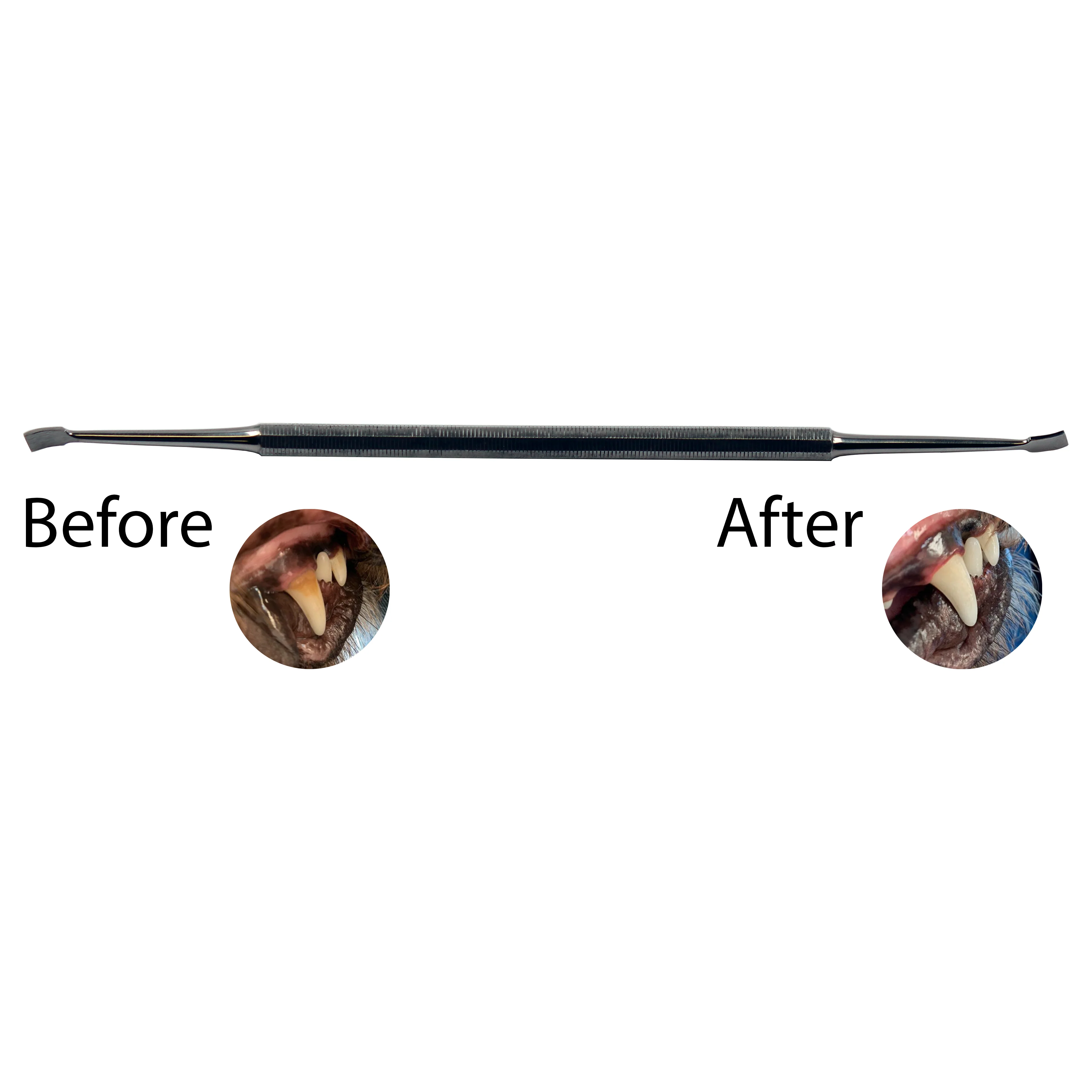 PET-TOOLS Tandsteenverwijderaar  RVS voor honden katten en overige kleine huisdieren dubbel 99 M 110